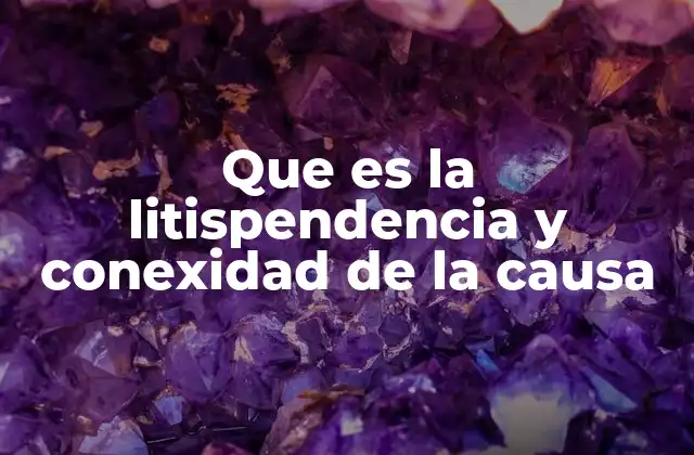 Que es la Litispendencia y Conexidad de la Causa