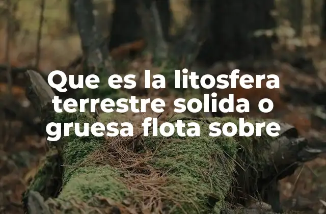 Que es la Litosfera Terrestre Solida o Gruesa Flota sobre