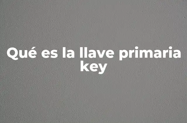 Qué es la Llave Primaria Key