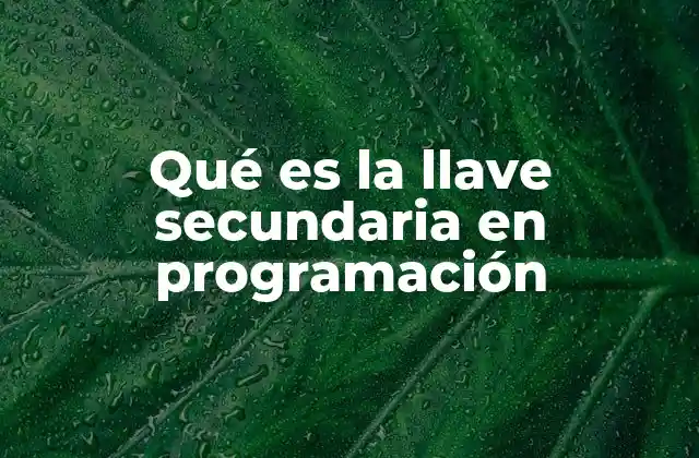 Qué es la Llave Secundaria en Programación