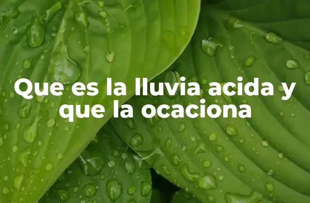 Que es la Lluvia Acida y que la Ocaciona