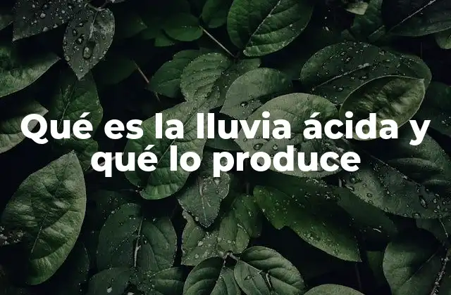 Qué es la Lluvia Ácida y Qué Lo Produce