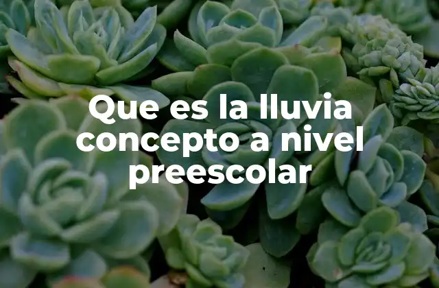 La lluvia como parte del mundo que nos rodea