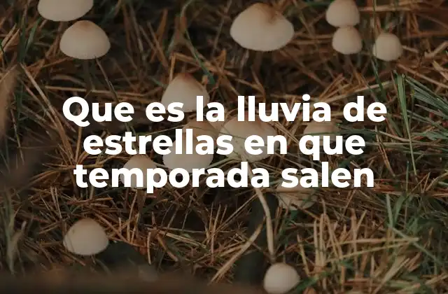 Cuándo y dónde ver las lluvias de estrellas más famosas