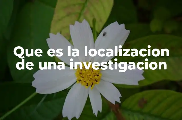 Que es la Localizacion de una Investigacion