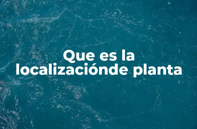 Que es la Localizaciónde Planta
