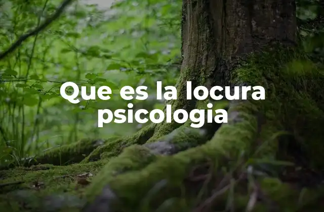 Que es la Locura Psicologia