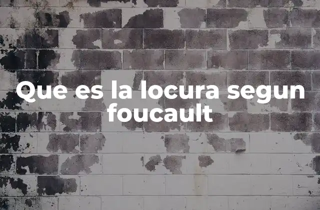 Que es la Locura Segun Foucault