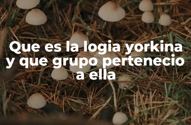 Que es la Logia Yorkina y que Grupo Pertenecio a Ella