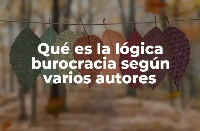 Qué es la Lógica Burocracia según Varios Autores