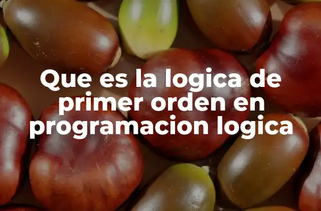 Que es la Logica de Primer Orden en Programacion Logica