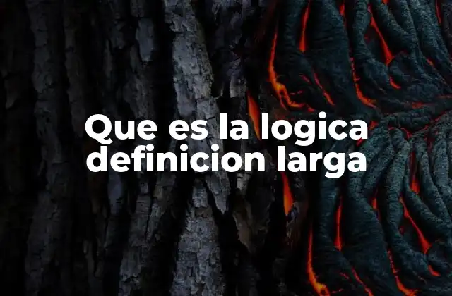 Que es la Logica Definicion Larga