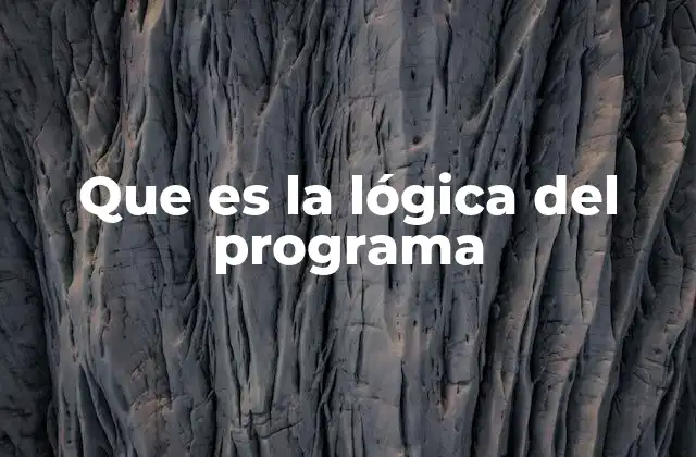 Que es la Lógica Del Programa