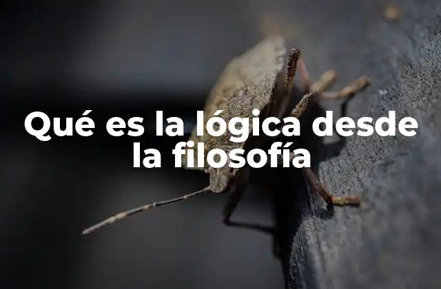 Qué es la Lógica desde la Filosofía