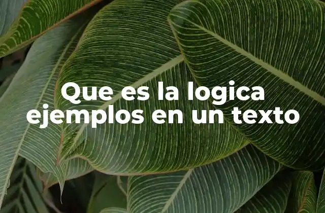 Que es la Logica Ejemplos en un Texto 2 La importancia de la coherencia y la cohesión en la lógica textual
