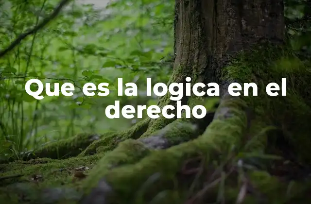 Que es la Logica en el Derecho