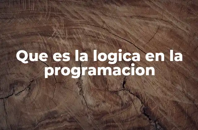 Que es la Logica en la Programacion