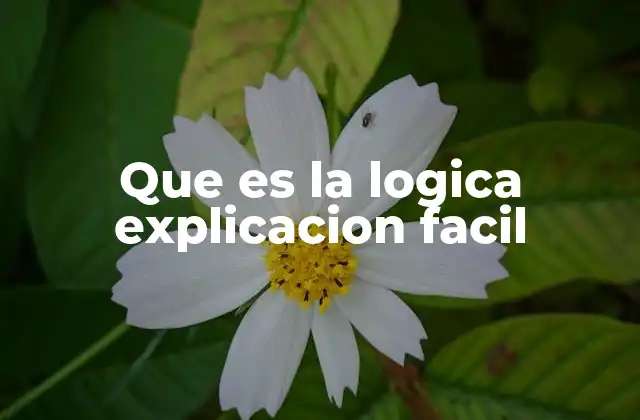 Que es la Logica Explicacion Facil