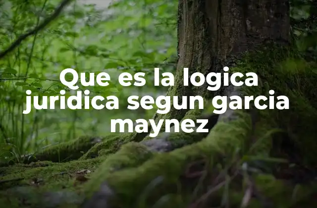 Que es la Logica Juridica Segun Garcia Maynez