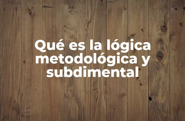 Qué es la Lógica Metodológica y Subdimental