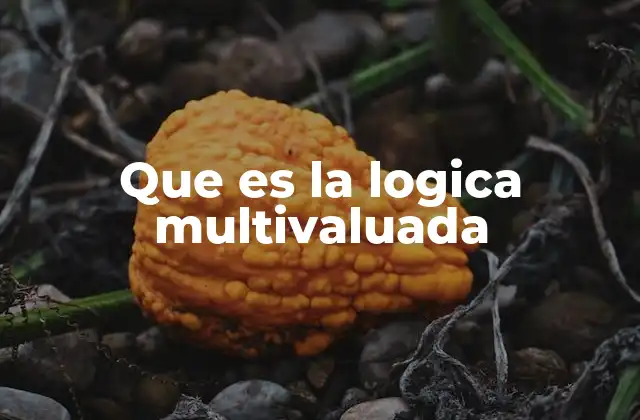 Entendiendo el funcionamiento de la lógica multivaluada