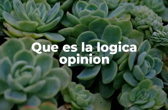 Que es la Logica Opinion