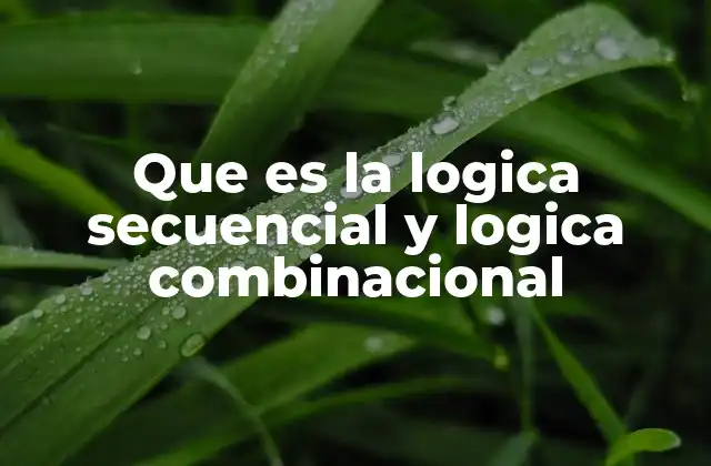 Que es la Logica Secuencial y Logica Combinacional