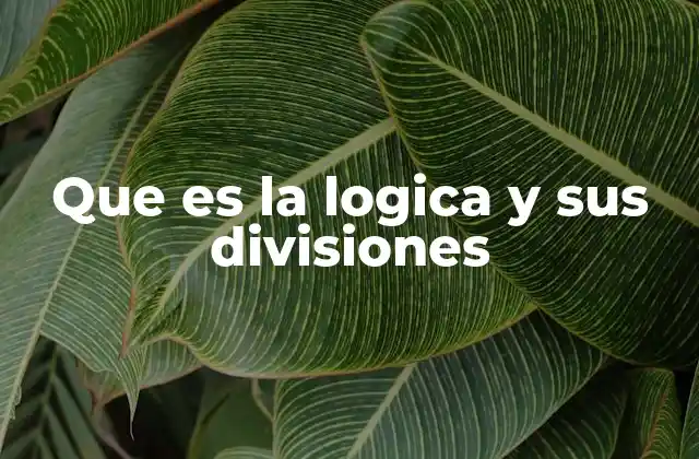Que es la Logica y Sus Divisiones