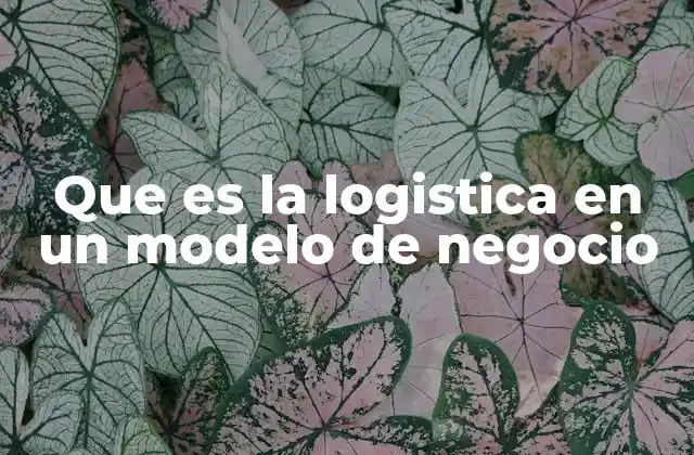 Que es la Logistica en un Modelo de Negocio