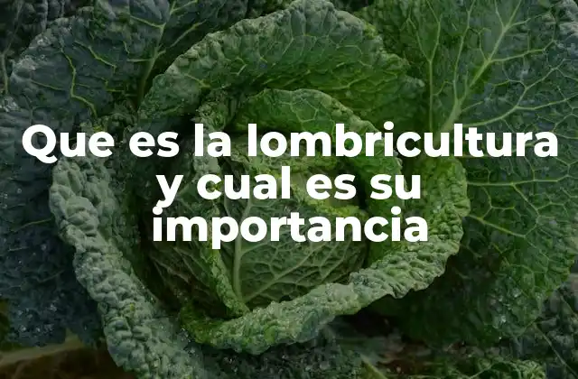 Que es la Lombricultura y Cual es Su Importancia