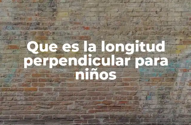 Que es la Longitud Perpendicular para Niños 2 Introduciendo la idea de perpendicularidad sin mencionar la palabra clave