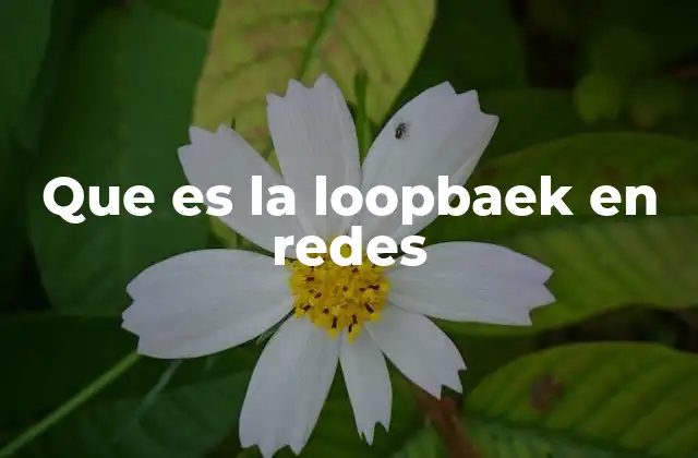 Que es la Loopbaek en Redes