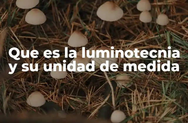 Que es la Luminotecnia y Su Unidad de Medida