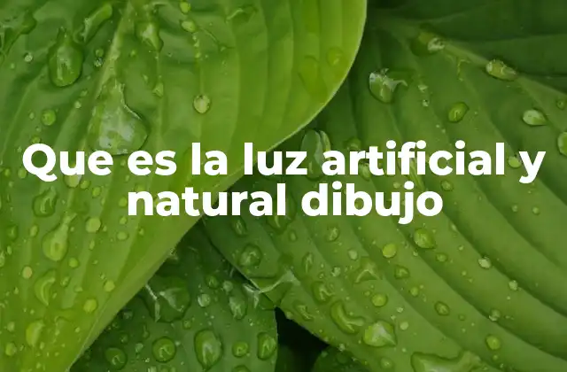 Que es la Luz Artificial y Natural Dibujo