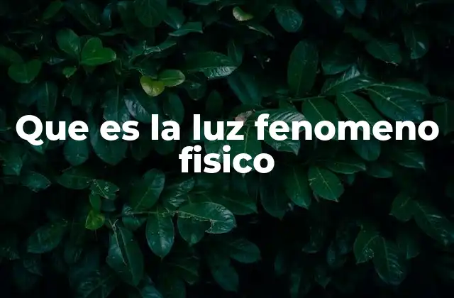 Que es la Luz Fenomeno Fisico