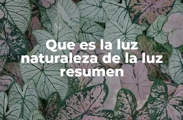 Que es la Luz Naturaleza de la Luz Resumen