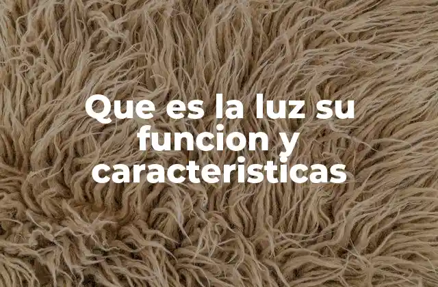 Que es la Luz Su Funcion y Caracteristicas