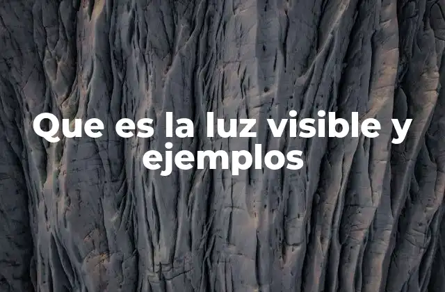 La importancia de la luz en la percepción del mundo