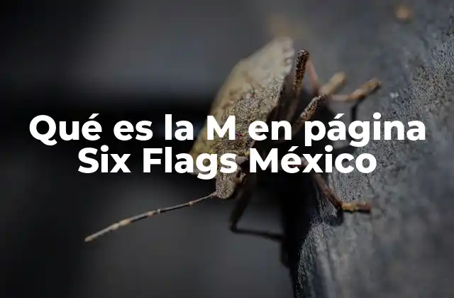 Qué es la M en Página Six Flags México