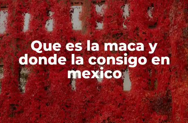 Que es la Maca y Donde la Consigo en Mexico