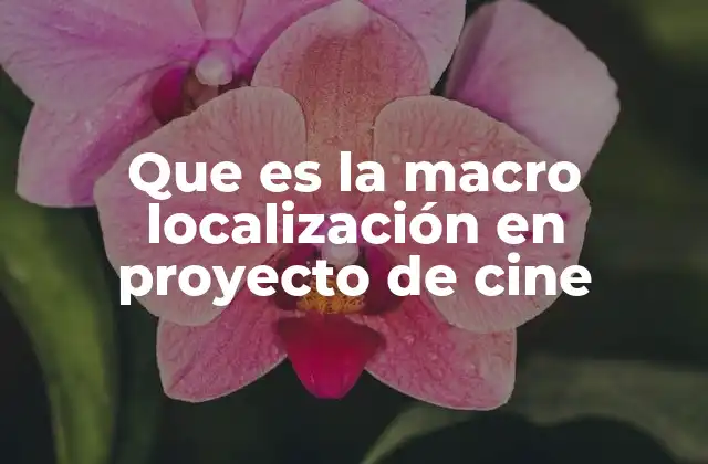 Que es la Macro Localización en Proyecto de Cine