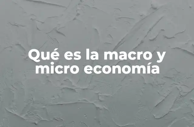 Qué es la Macro y Micro Economía