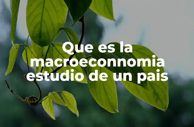 Que es la Macroeconnomia Estudio de un Pais