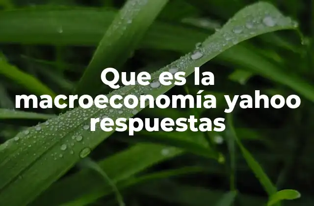 Que es la Macroeconomía Yahoo Respuestas