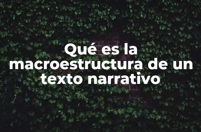 Qué es la Macroestructura de un Texto Narrativo