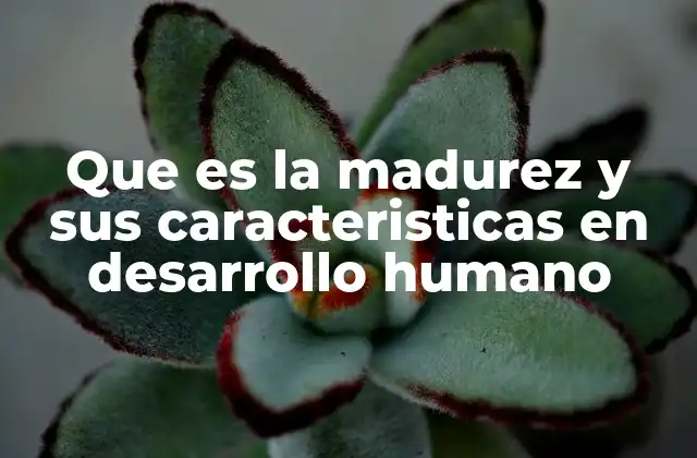 Que es la Madurez y Sus Caracteristicas en Desarrollo Humano