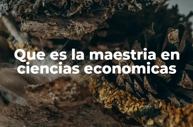 El papel de la formación posgrado en el campo económico