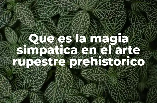 Que es la Magia Simpatica en el Arte Rupestre Prehistorico