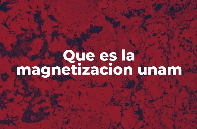 Que es la Magnetizacion Unam