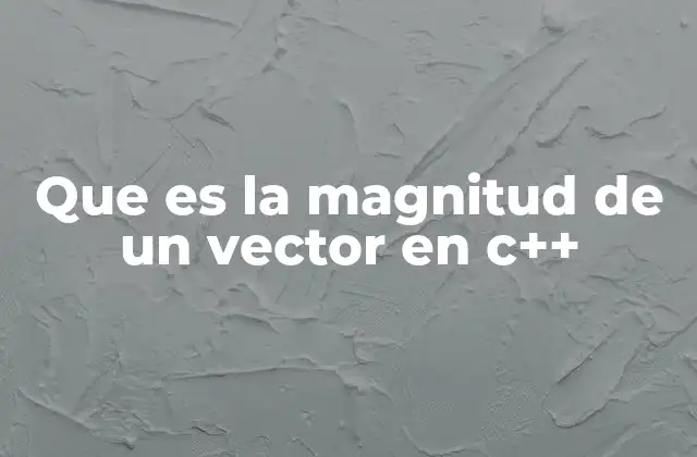 Que es la Magnitud de un Vector en C++